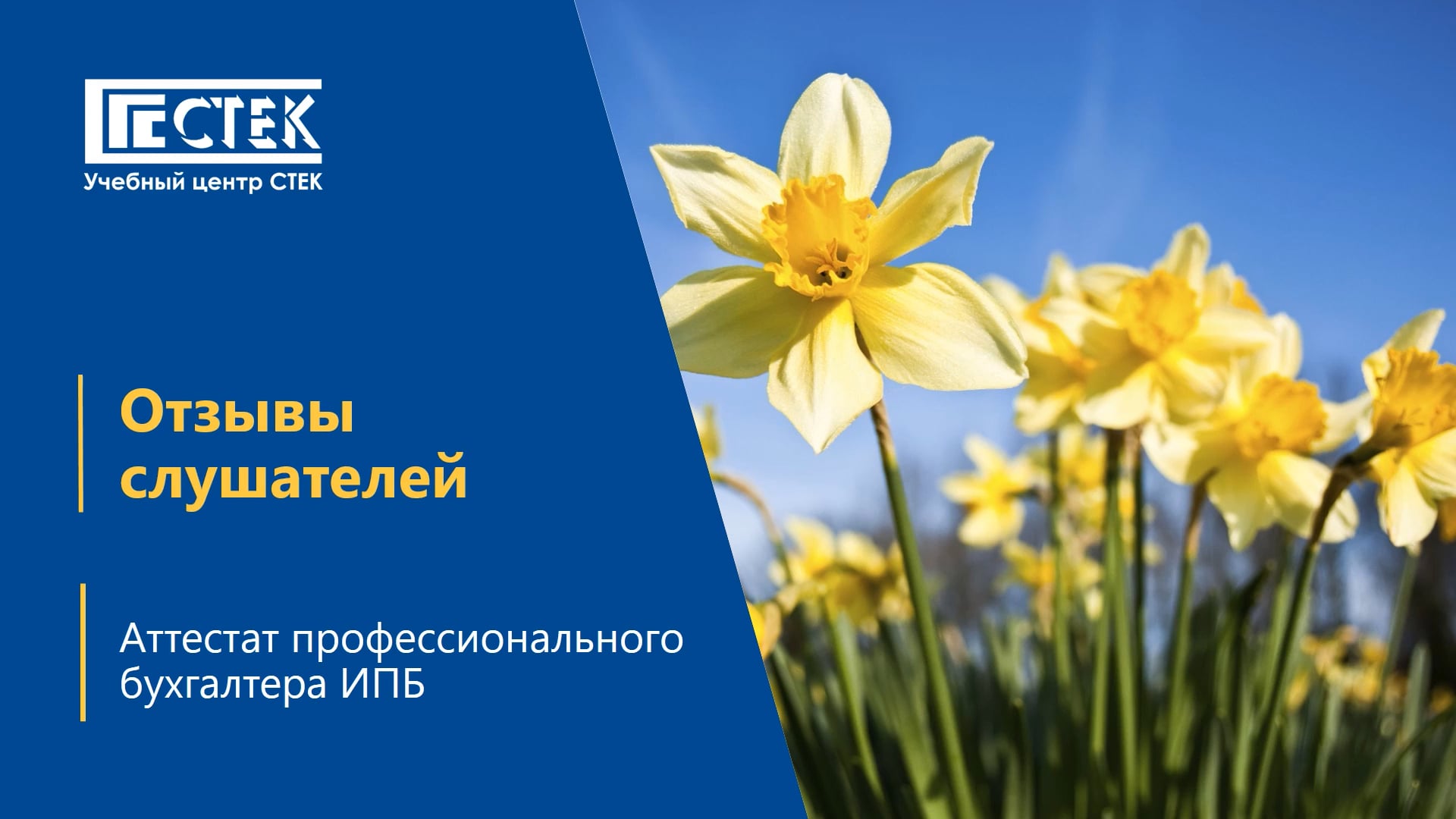 Отзыв Данилова Юлия